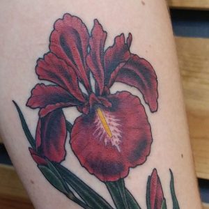 illustrated iris flower tattoo featured image