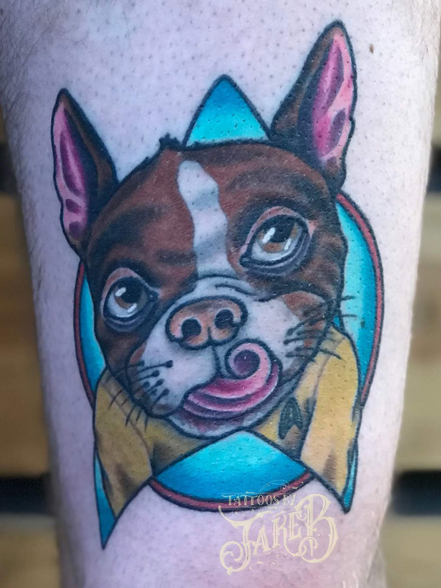 boston terrier star trek dog tattoo