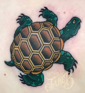 traditional turtle tattoo by Jake B