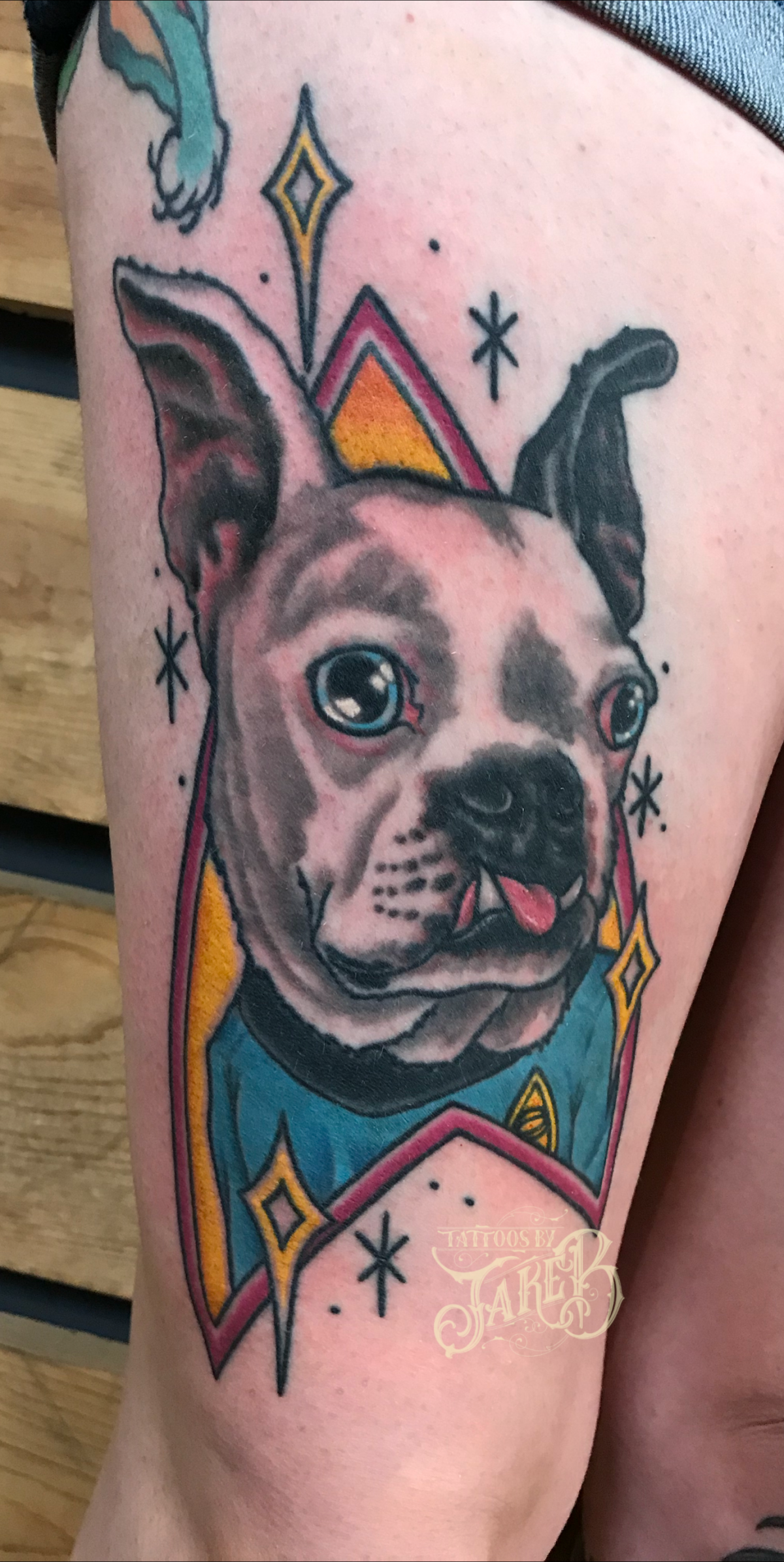 boston terrier spock dog tattoo