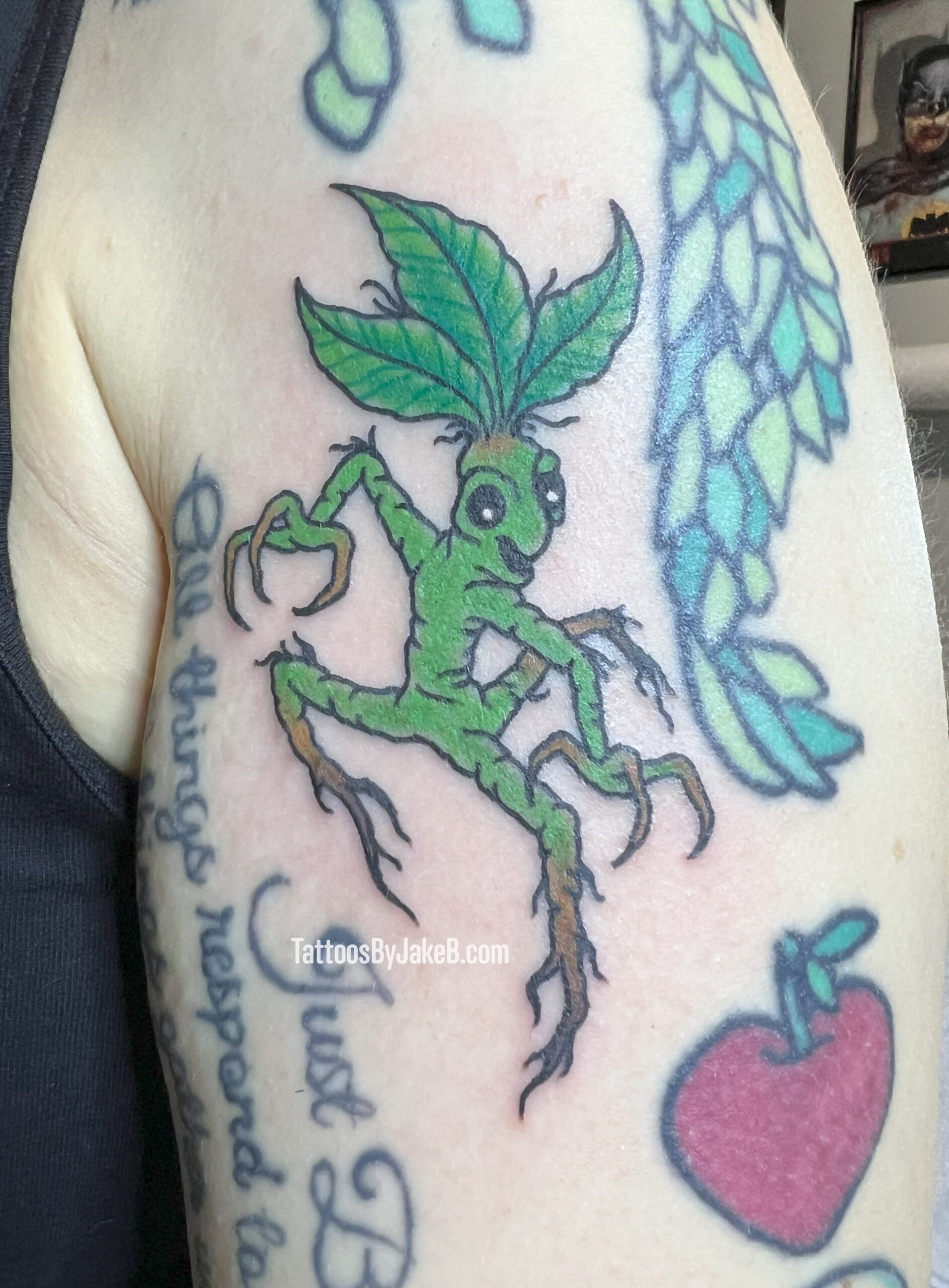 Bowtruckle tattoo by Jake B