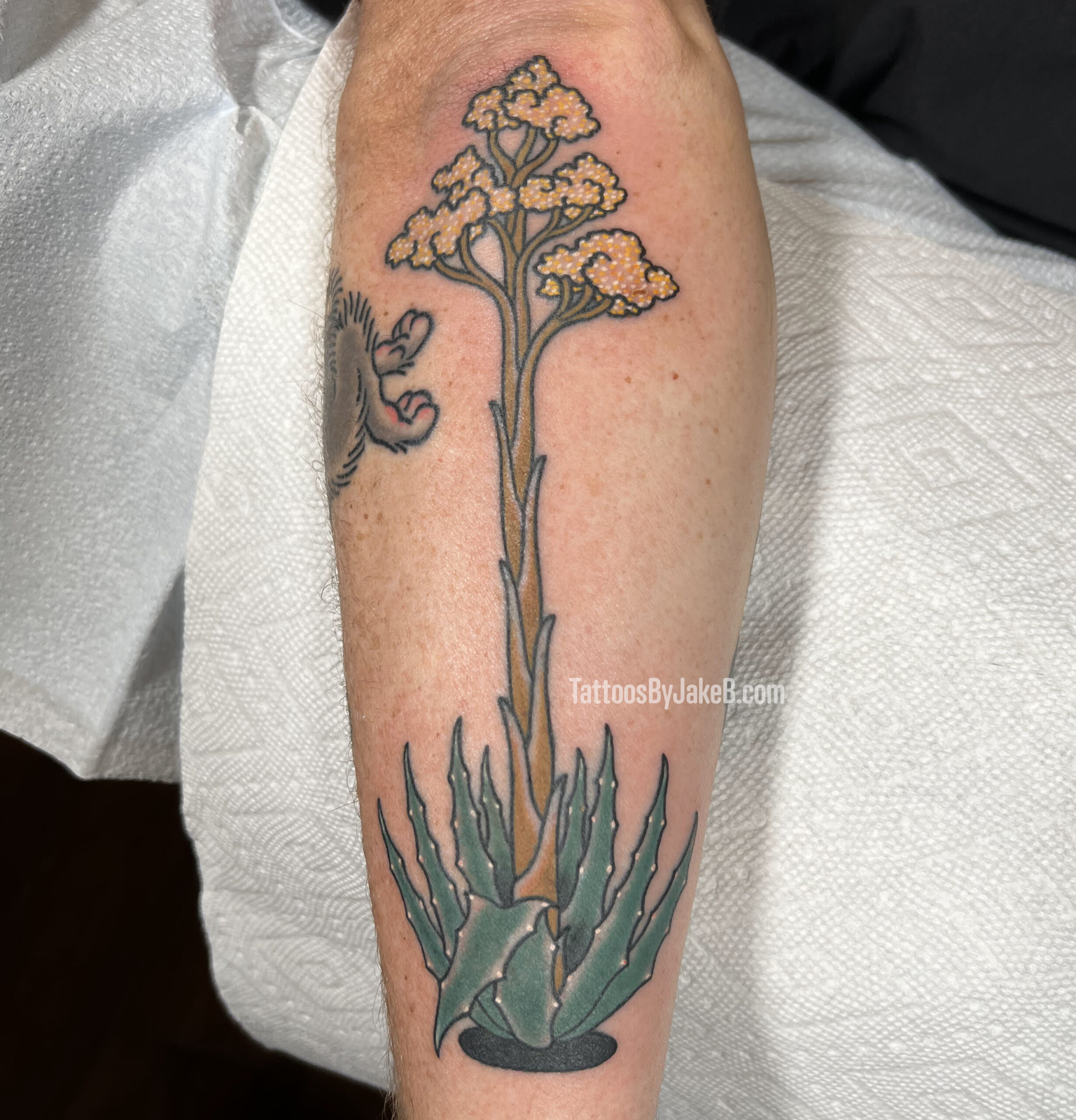 Century plant tattoo by Jake B